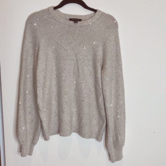 Ann Taylor Cream and Silver Sequin Sweater - Size Small - Picture 1 of 7